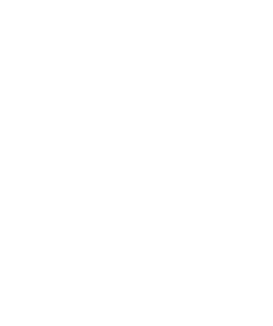 Wall Street Fusijon Group_Logo_Vertical_White_SB